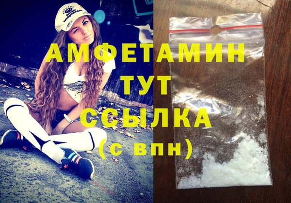 СК Алексин