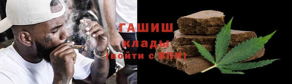 СК Алексин
