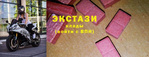 СК Алексин