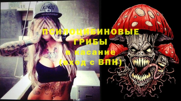 СК Алексин
